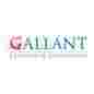 Gallant Training & Consultants Limited logo